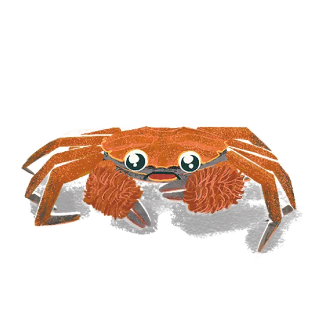 CRAB