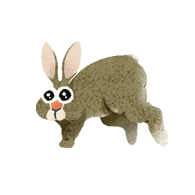 RABBIT