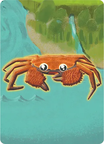 Japanese 
Mitten Crab