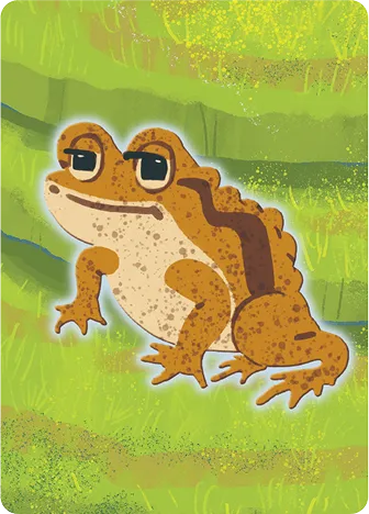 Japanese 
Common Toad