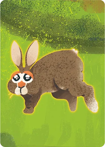Japanese Hare