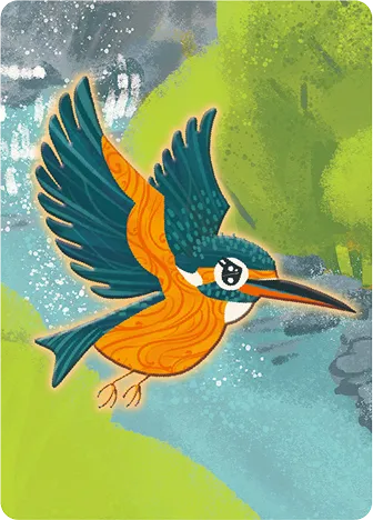 Common 
Kingfisher