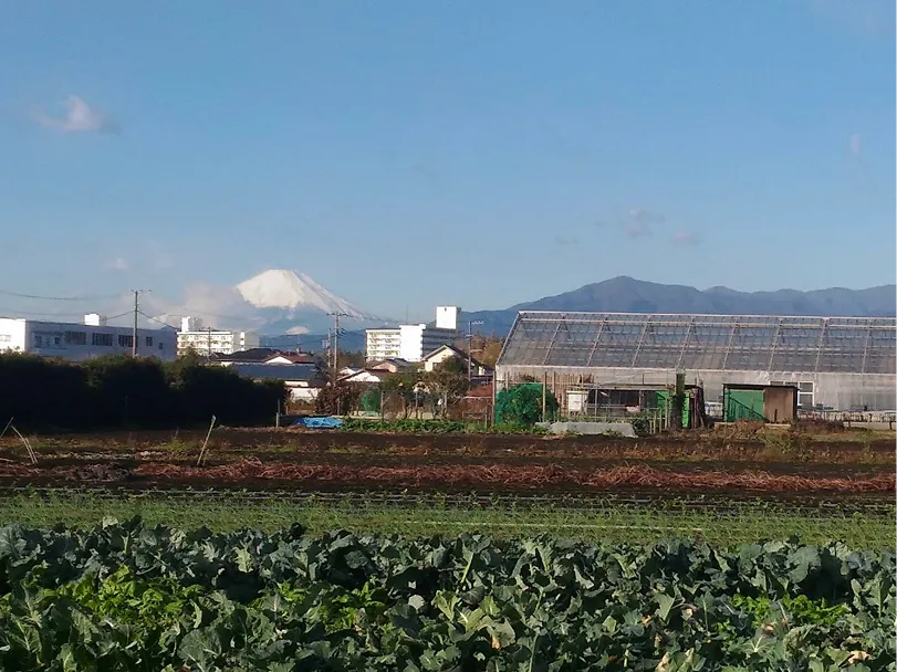 いずみ野線沿線の農地